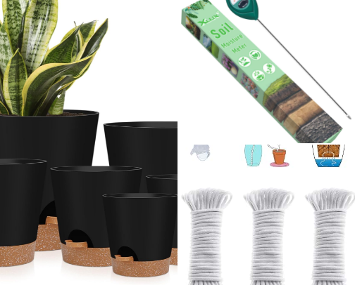 🌿 Indoor Plant Essentials for Busy People cover photo collage