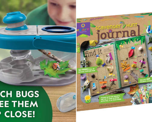 Little Explorers: Nature-Based Learning Activities for Curious Preschoolers cover photo collage