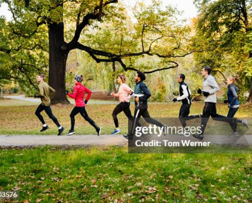 Run Forest 🏃‍♀️ Run cover photo collage