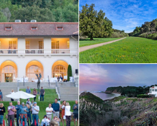 Stay close to nature in NorCal with and without your dog cover photo collage