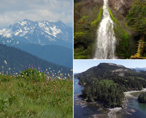 Olympic Peninsula: See, Do, Eat! cover photo collage