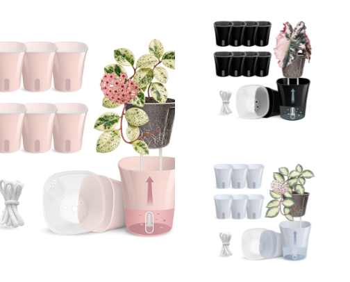 Plant pots! cover photo collage
