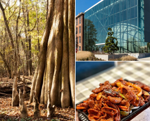 Travel Diaries: Columbia, SC cover photo collage