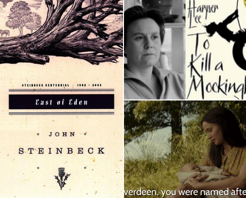 The Ultimate Paperback Haul: Discover Your Next Literary cover photo collage