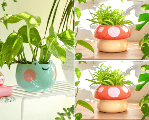 Home Decors cover photo collage