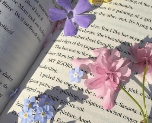 •Books 📚 cover photo collage