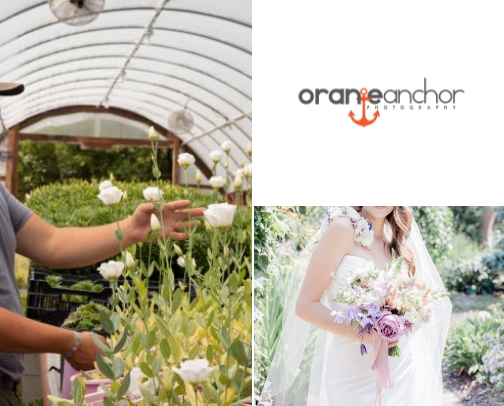 Galen IL Wedding Vendors Recs cover photo collage