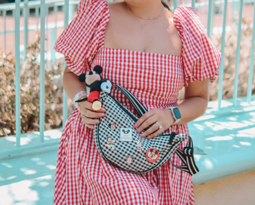 A Certified Disney Adult's Disney Park Essentials cover photo collage