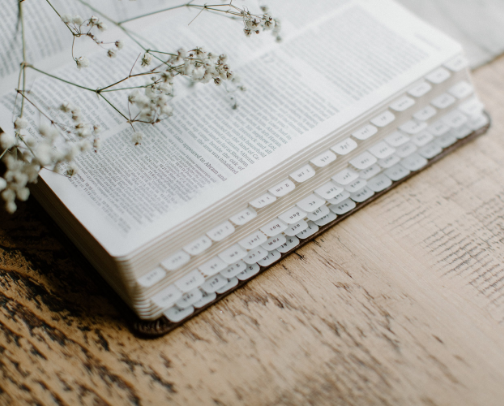 everything i need for Bible journaling cover photo collage