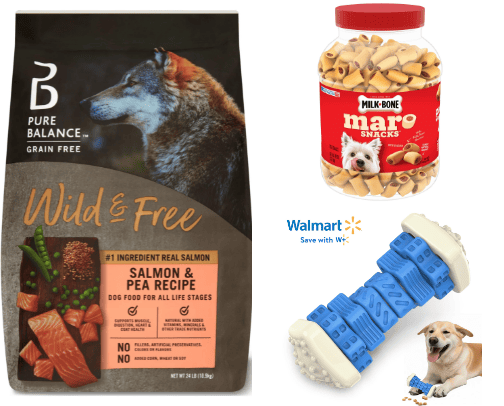 Everything for your dog cover photo collage