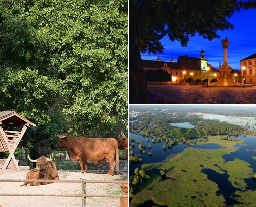 What to visit in Osijek cover photo collage