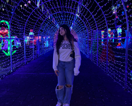 December 2026 outings in LA County!❄️🎀💕 cover photo collage