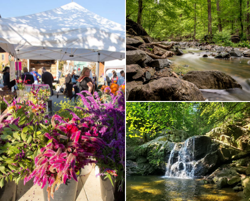 Things to Do in Maryland: Local Gems & Must-See Spots 🎟️✨ cover photo collage