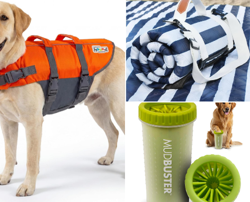The Ultimate Dog Beach Day Checklist cover photo collage