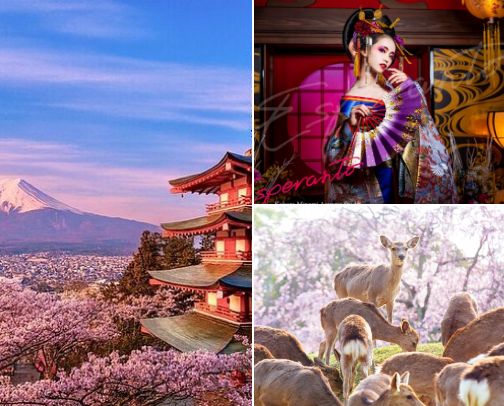 If Japan is on your bucket list… cover photo collage
