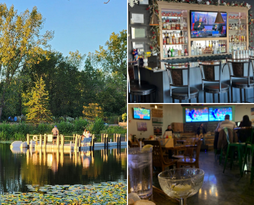 My top IL suburban recs cover photo collage