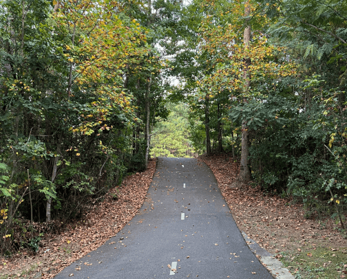 Exercise must haves cover photo collage