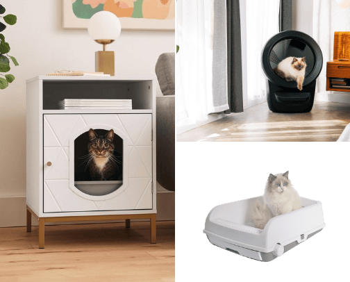 Cat Essentials cover photo collage