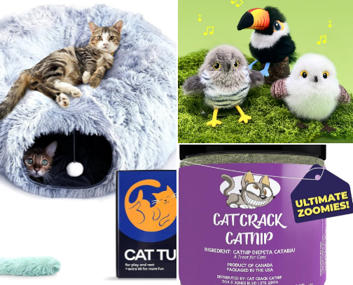 Love for the furbabies! My favorite items for my cats and dogs! Beds, toys, treats! cover photo collage