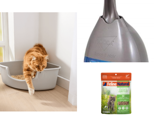 Cheap kitten starter kit for first time owners! cover photo collage