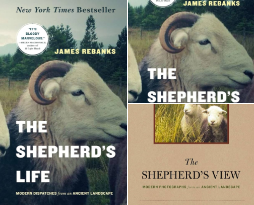 The Shepherd's Life: Modern Dispatches from an Ancient Landscape reading companions cover photo collage