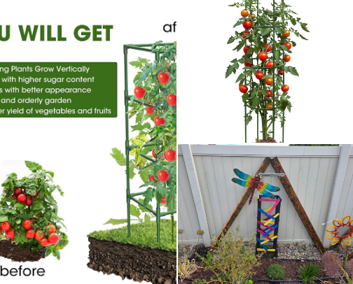 Ivy's Tomato Growing Must Haves cover photo collage
