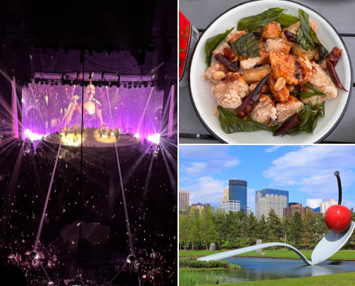 Memorable things to do in Minneapolis, MN! cover photo collage