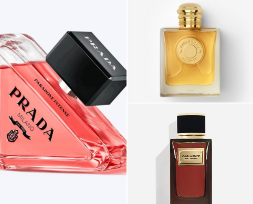 Perfumes for collectors cover photo collage