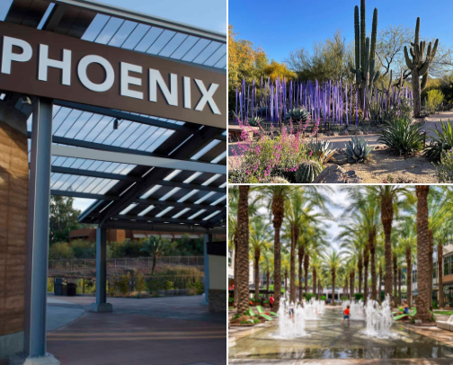 Arizona Fun - Things to do with kids in Phx! 🌵 cover photo collage