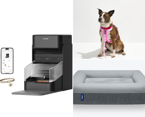 Spoiling My Pet Without Ruining My Living Room Decor (Under $200) cover photo collage