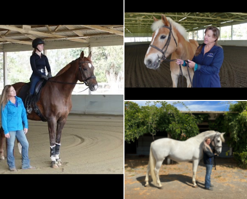 Clare's "Helpful Hints to Having a Happy and Healthy Horse" Video Blogs!  6 Sections: cover photo collage