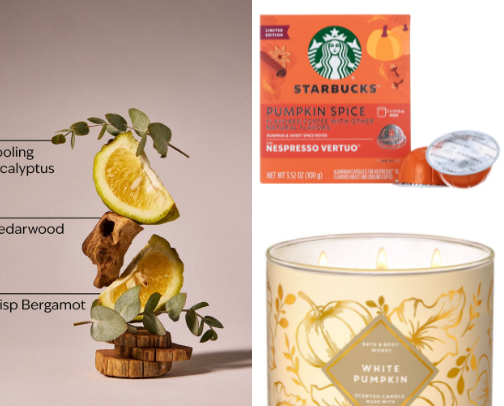Fall Favorites cover photo collage