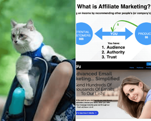 Pet products cover photo collage