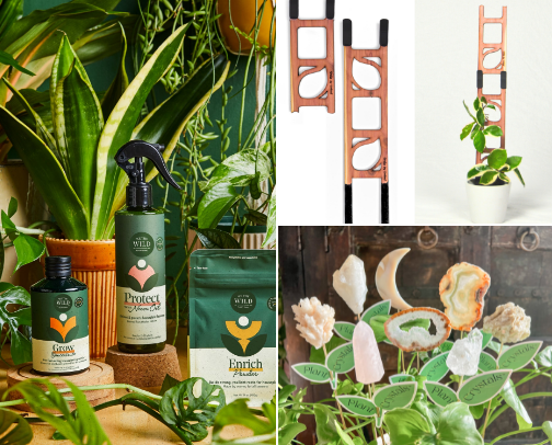 🪴✨The House Plant Hobbyist List✨🪴 cover photo collage