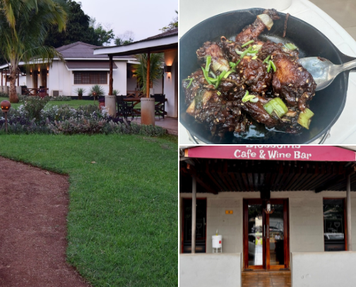 Tanzania Recommendations cover photo collage
