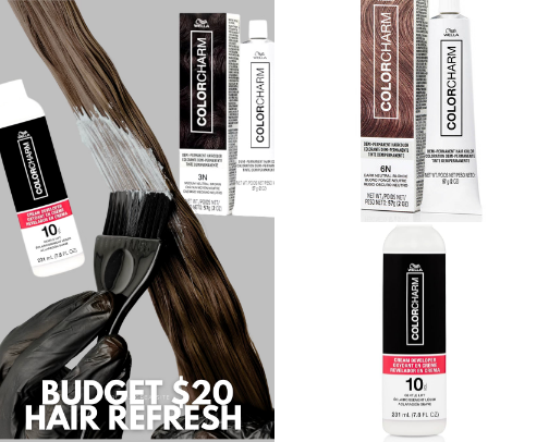 Affordable Hair Refresh with a $20 Budget! cover photo collage