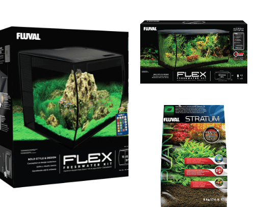 Fish tank recommendations cover photo collage