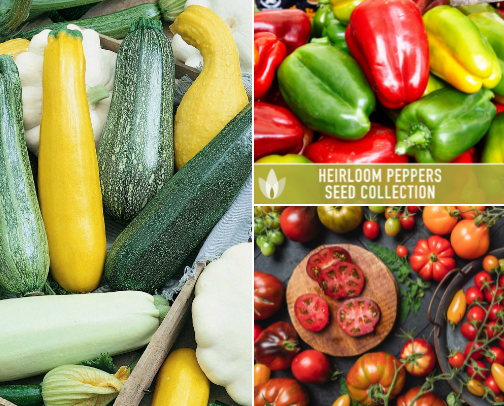 SEEDS I AM PLANTING THIS GARDENING SEASON🌱 cover photo collage