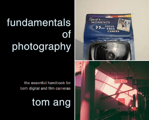 A Novice's Dive Into Photography cover photo collage