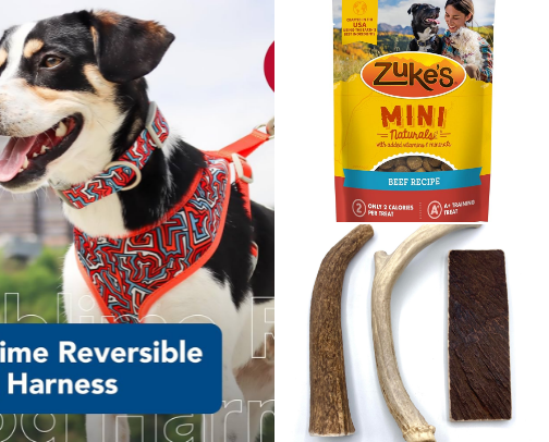 Doggie must haves cover photo collage