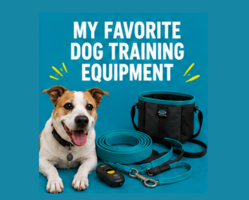 My Favorite Dog Training Equipment cover photo collage