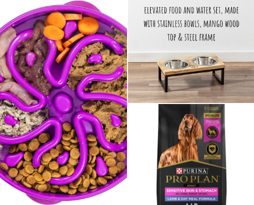 Dog Favorites cover photo collage