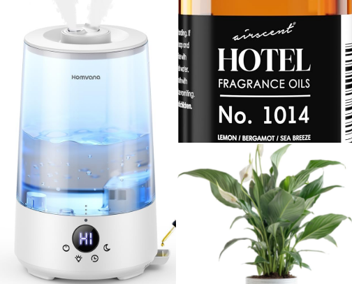 Cozy Home MUST HAVES! cover photo collage