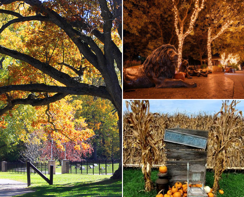 2025 Fall Activities in Toledo, OH🍂🤎 cover photo collage