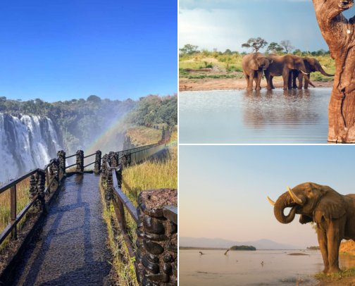 Zimbabwe Travel Bucket List 🇿🇼 | 15 Must-Visit Places cover photo collage