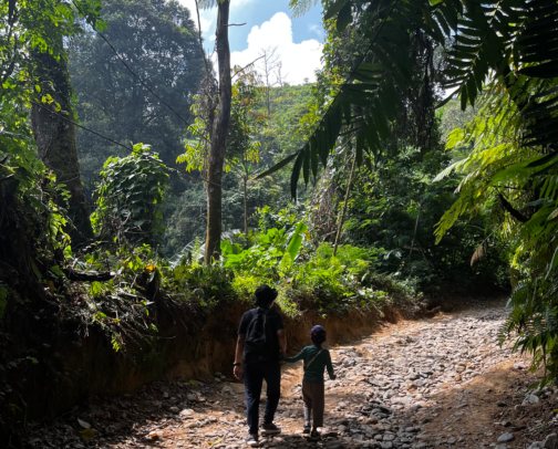 Hiking with kids: a beginner checklist cover photo collage