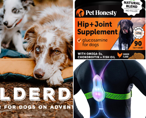 Must Have Products for Pets Who Love Adventure cover photo collage