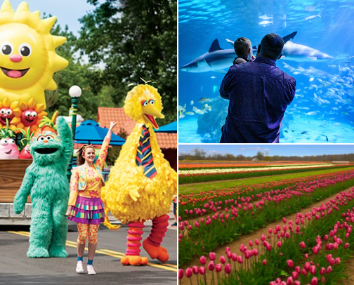 Bucks County Recs with infants and toddlers cover photo collage