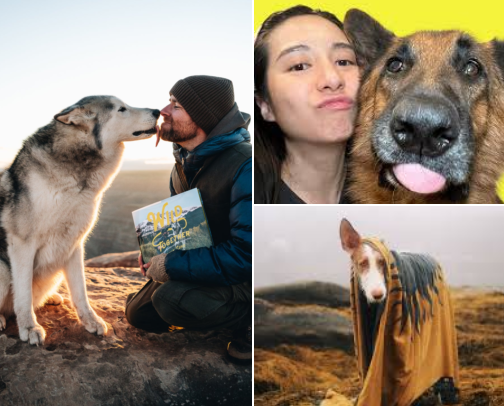 Dog Accounts Worth Following cover photo collage
