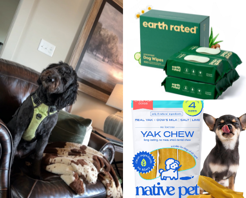🐾 Happy Dog = Happy Life cover photo collage